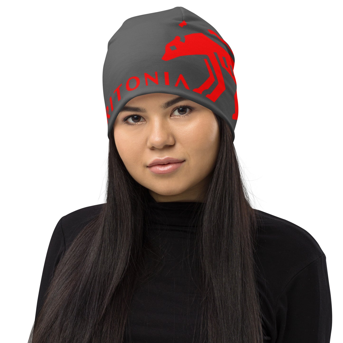 Graphite Alpine Beanie