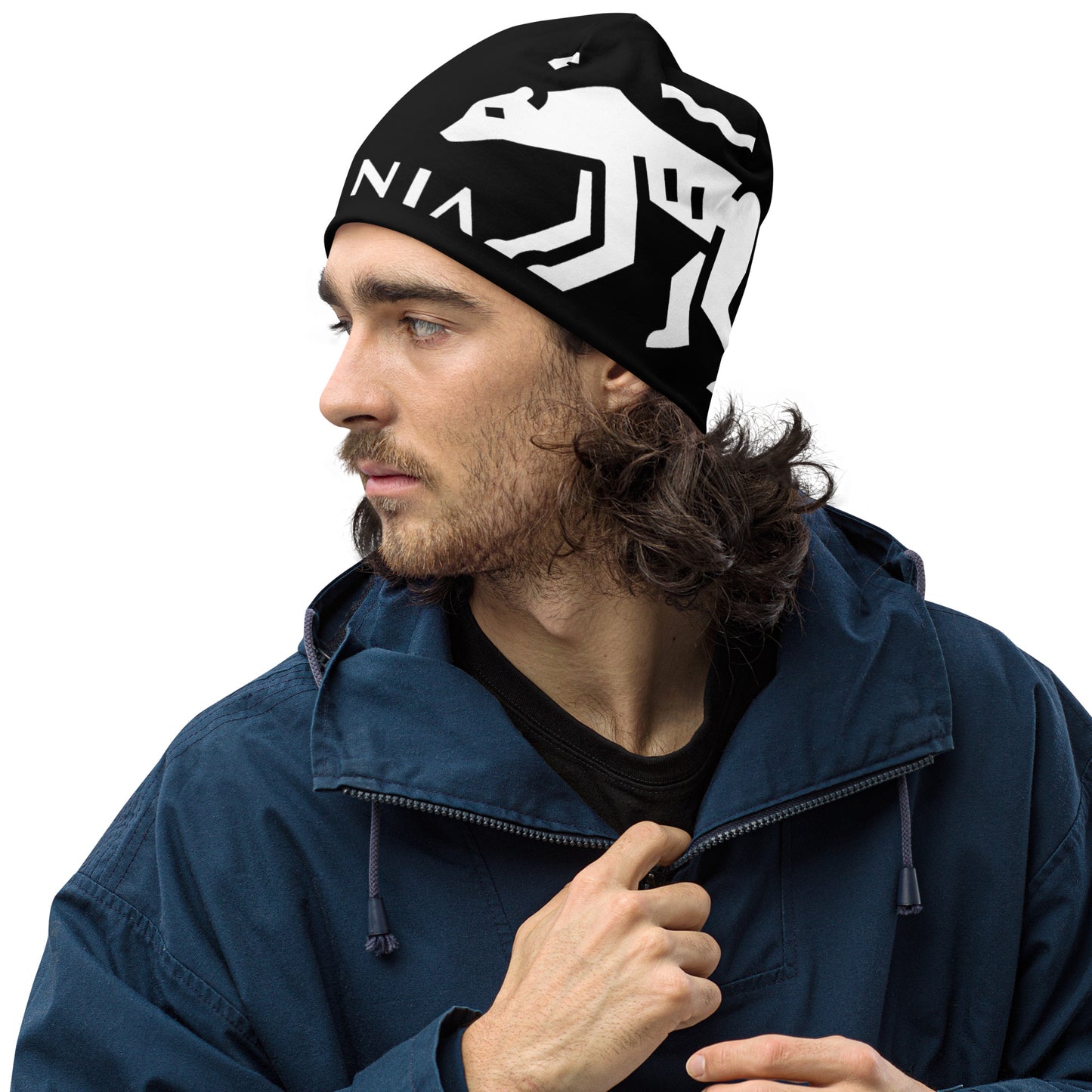 Black Diamond Alpine Beanie