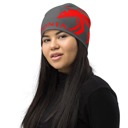 Graphite Alpine Beanie